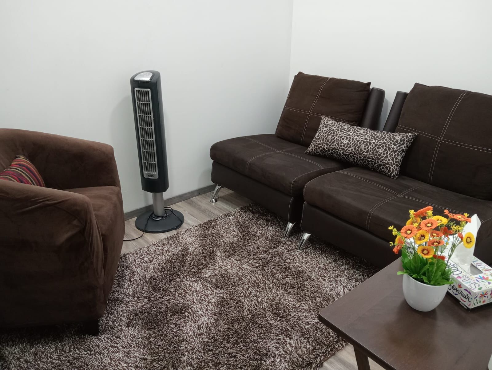 Psicología emocional